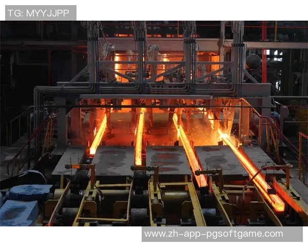 pg电子有限公司-探析PG电子有限公司的多元发展与成功经验-pg电子有限公司